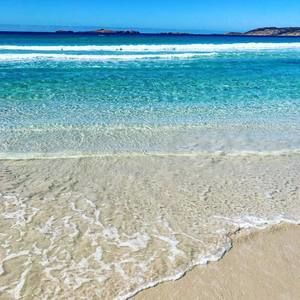 Meet your Posher, Maureen